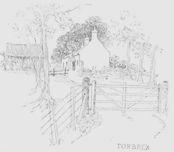 Torbrex